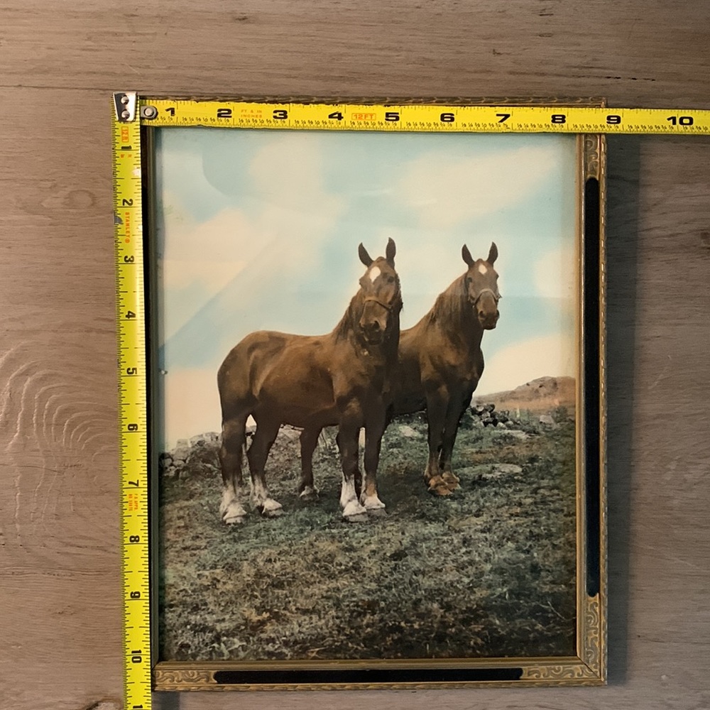 Antique Photo/Painting of 2 Draft Horses in Unique Frame - Picture 16 of 16